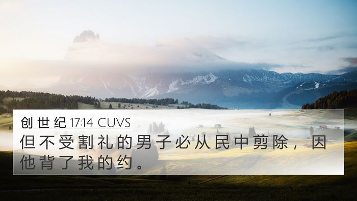 创 世 纪 17:14 CUVS Bible Verse Image