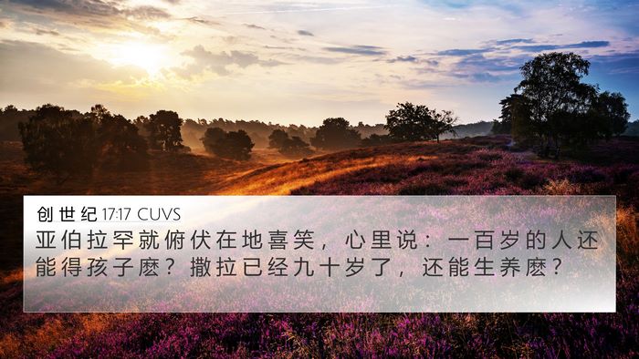 创 世 纪 17:17 CUVS Bible Verse Image