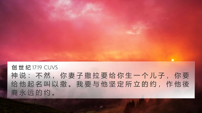 创 世 纪 17:19 CUVS Bible Verse Image