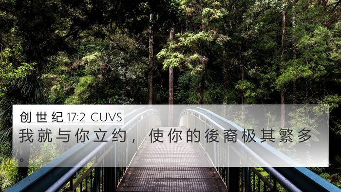 创 世 纪 17:2 CUVS 4K Wallpaper - 我 就 与 你 立 约 ， 使 你 的 後 裔 - 4K Wallpaper Bible Verse