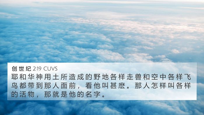 创 世 纪 2:19 CUVS Bible Verse Image