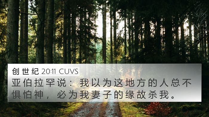 创 世 纪 20:11 CUVS Bible Verse Image