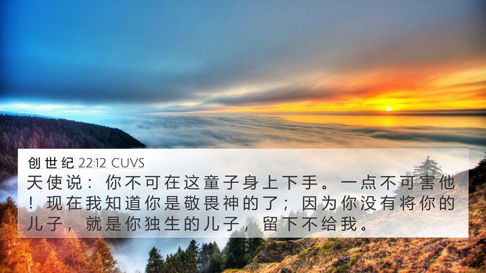 创 世 纪 22:12 CUVS Bible Verse Image