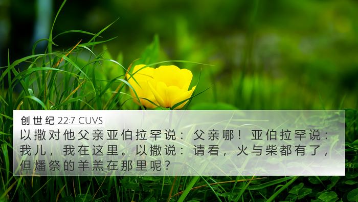 创 世 纪 22:7 CUVS Bible Verse Image