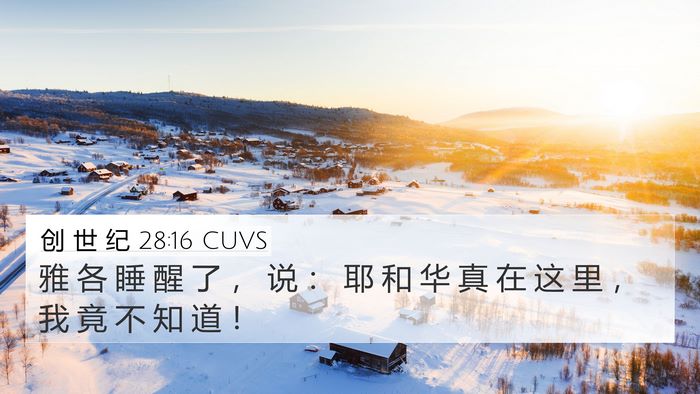 创 世 纪 28:16 CUVS Bible Verse Image