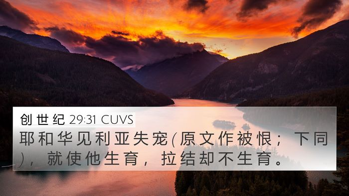 创 世 纪 29:31 CUVS Bible Verse Image