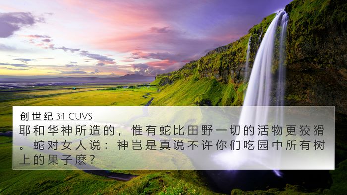 创 世 纪 3:1 CUVS 4K Wallpaper - 耶 和 华 神 所 造 的 ， 惟 有 蛇 比 - 4K Wallpaper Bible Verse
