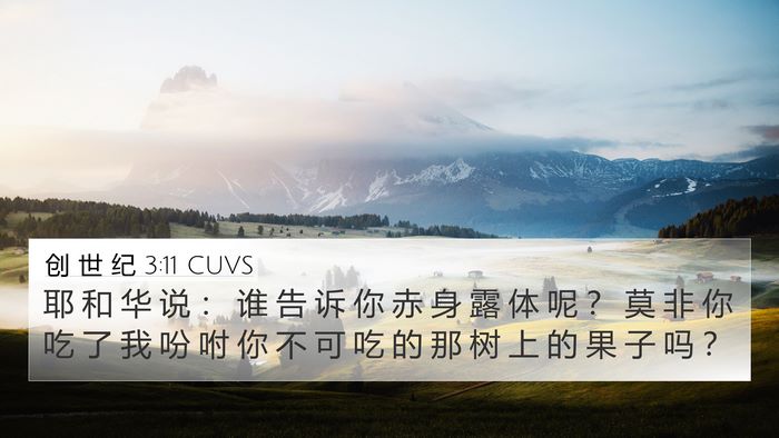 创 世 纪 3:11 CUVS Bible Verse Image