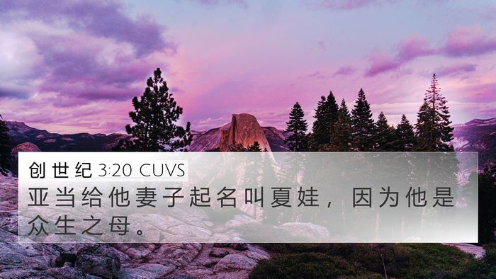 创 世 纪 3:20 CUVS Bible Verse Image