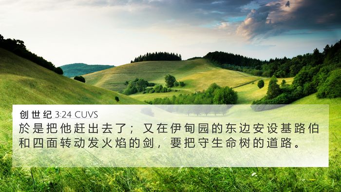 创 世 纪 3:24 CUVS Bible Verse Image