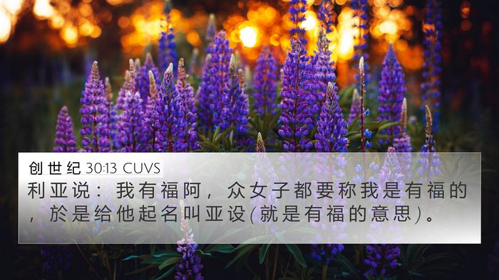 创 世 纪 30:13 CUVS Bible Verse Image
