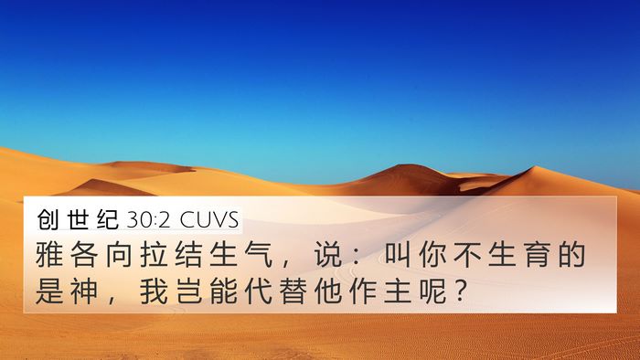 创 世 纪 30:2 CUVS Bible Verse Image