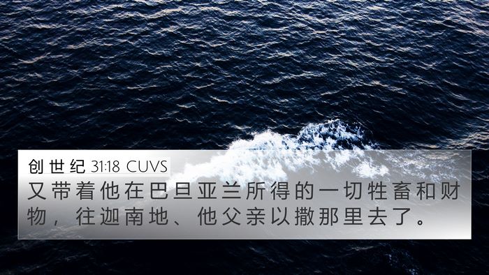 创 世 纪 31:18 CUVS Bible Verse Image