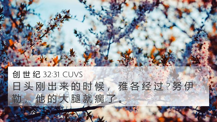 创 世 纪 32:31 CUVS Bible Verse Image