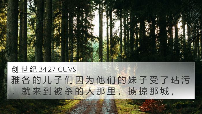 创 世 纪 34:27 CUVS 4K Wallpaper - 雅 各 的 儿 子 们 因 为 他 们 的 妹 - 4K Wallpaper Bible Verse