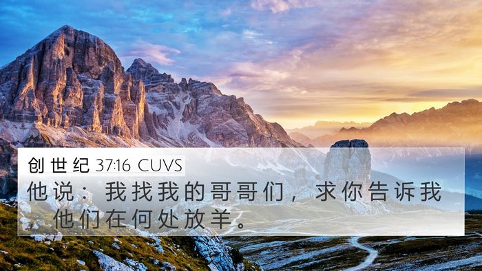 创 世 纪 37:16 CUVS 4K Wallpaper - 他 说 ： 我 找 我 的 哥 哥 们 ， 求 - 4K Wallpaper Bible Verse
