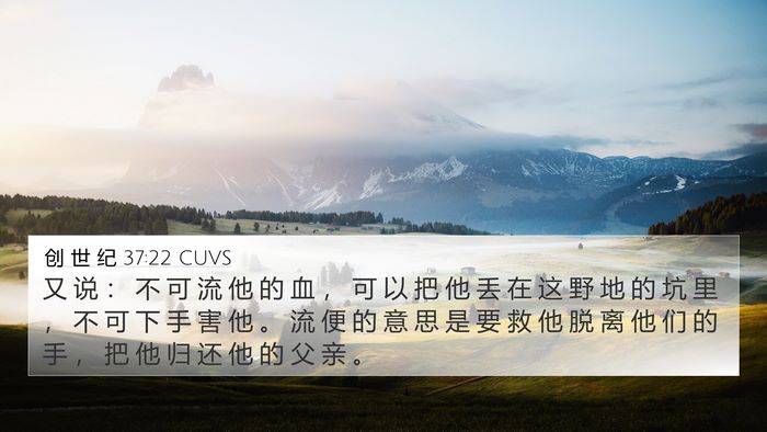 创 世 纪 37:22 CUVS Bible Verse Image