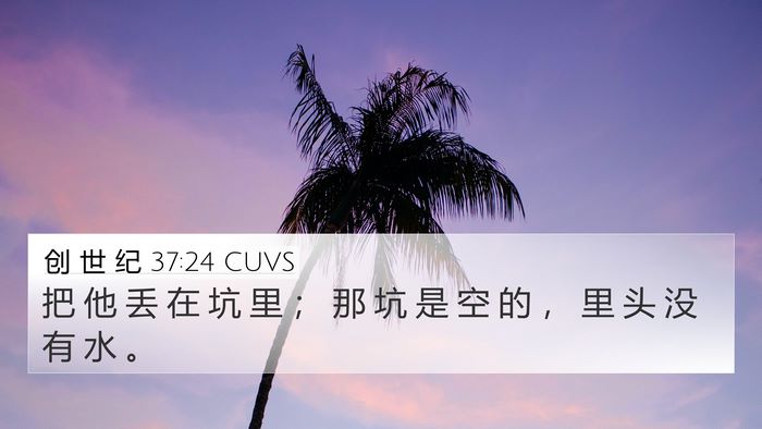 创 世 纪 37:24 CUVS Bible Verse Image