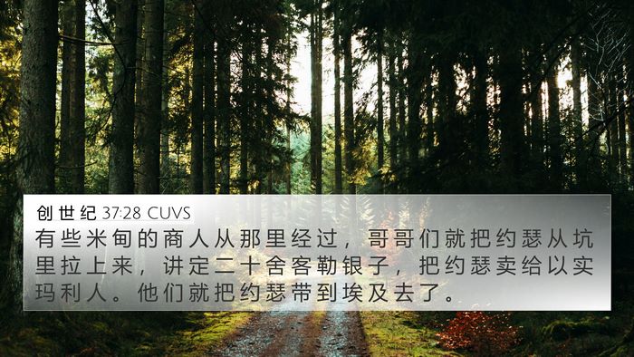 创 世 纪 37:28 CUVS Bible Verse Image