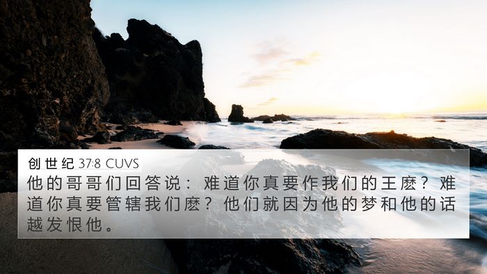 创 世 纪 37:8 CUVS Bible Verse Image
