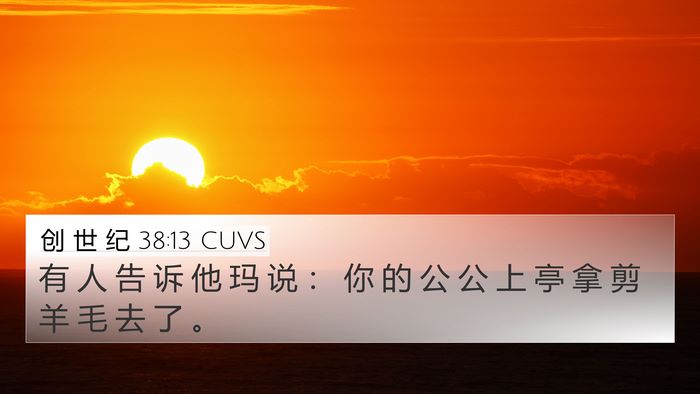 创 世 纪 38:13 CUVS Bible Verse Image