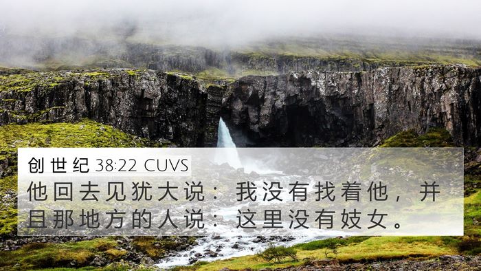 创 世 纪 38:22 CUVS 4K Wallpaper - 他 回 去 见 犹 大 说 ： 我 没 有 找 - 4K Wallpaper Bible Verse