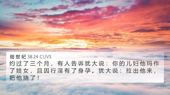 创 世 纪 38:24 CUVS Bible Verse Image