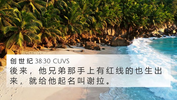 创 世 纪 38:30 CUVS Bible Verse Image