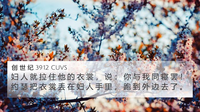 创 世 纪 39:12 CUVS Bible Verse Image