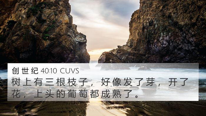 创 世 纪 40:10 CUVS Bible Verse Image