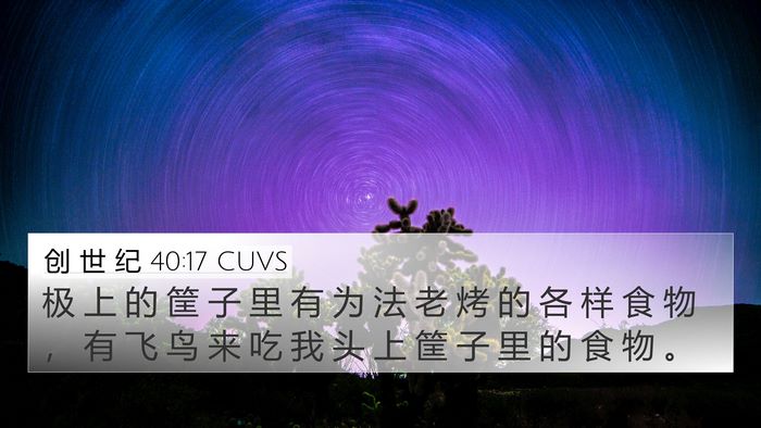 创 世 纪 40:17 CUVS 4K Wallpaper - 极 上 的 筐 子 里 有 为 法 老 烤 的 - 4K Wallpaper Bible Verse