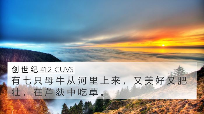 创 世 纪 41:2 CUVS 4K Wallpaper - 有 七 只 母 牛 从 河 里 上 来 ， 又 - 4K Wallpaper Bible Verse