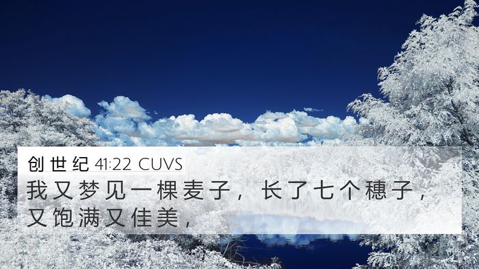 创 世 纪 41:22 CUVS 4K Wallpaper - 我 又 梦 见 一 棵 麦 子 ， 长 了 七 - 4K Wallpaper Bible Verse