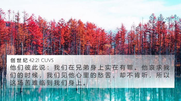 创 世 纪 42:21 CUVS Bible Verse Image