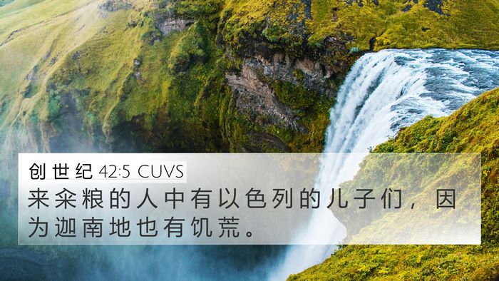创 世 纪 42:5 CUVS Bible Verse Image
