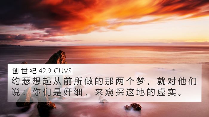 创 世 纪 42:9 CUVS Bible Verse Image