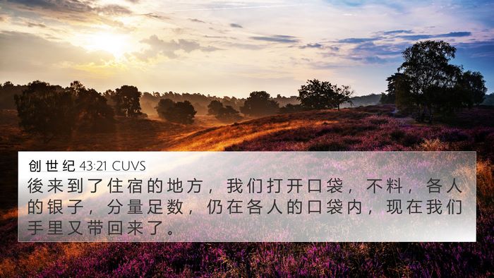创 世 纪 43:21 CUVS Bible Verse Image