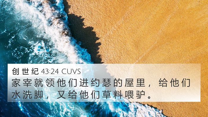 创 世 纪 43:24 CUVS Bible Verse Image