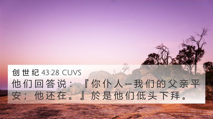 创 世 纪 43:28 CUVS Bible Verse Image