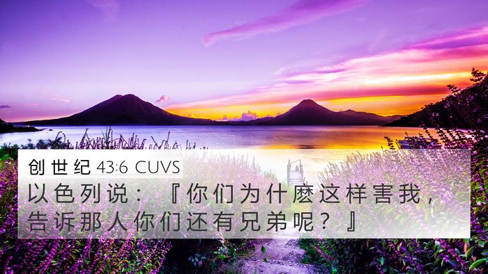 创 世 纪 43:6 CUVS Bible Verse Image