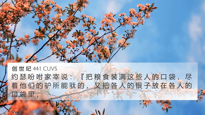 创 世 纪 44:1 CUVS Bible Verse Image