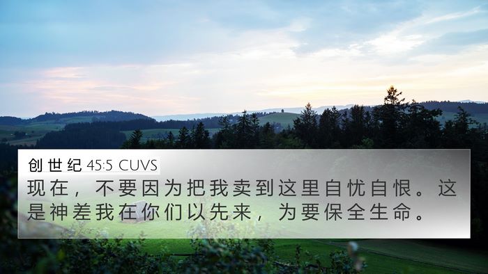 创 世 纪 45:5 CUVS Bible Verse Image