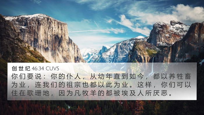 创 世 纪 46:34 CUVS Bible Verse Image