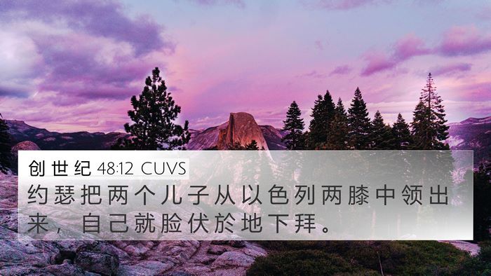 创 世 纪 48:12 CUVS 4K Wallpaper - 约 瑟 把 两 个 儿 子 从 以 色 列 两 - 4K Wallpaper Bible Verse
