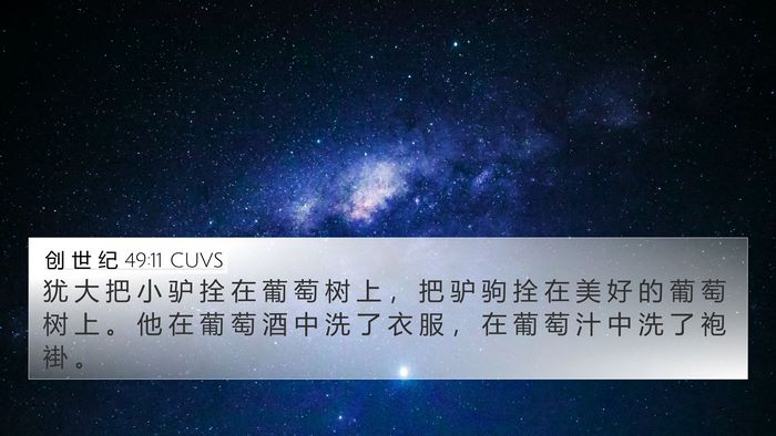 创 世 纪 49:11 CUVS Bible Verse Image