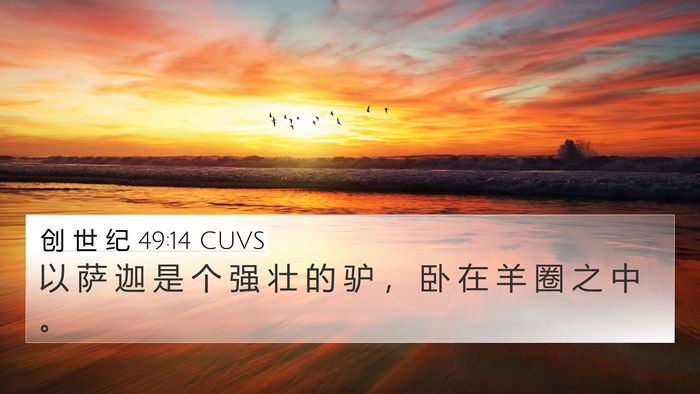 创 世 纪 49:14 CUVS Bible Verse Image