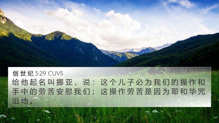 创 世 纪 5:29 CUVS Bible Verse Image
