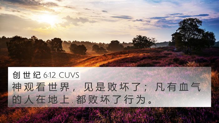 创 世 纪 6:12 CUVS Bible Verse Image
