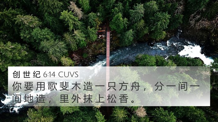 创 世 纪 6:14 CUVS 4K Wallpaper - 你 要 用 歌 斐 木 造 一 只 方 舟 ， - 4K Wallpaper Bible Verse