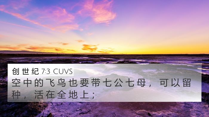 创 世 纪 7:3 CUVS 4K Wallpaper - 空 中 的 飞 鸟 也 要 带 七 公 七 母 - 4K Wallpaper Bible Verse